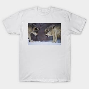 Timber Wolves T-Shirt